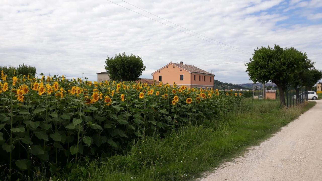 La Dolce Vita Porto Recanati Exterior foto